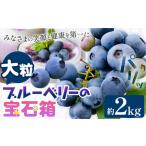 fu.... налог [2026 год предшествующий предварительный заказ ] голубика крупный итого 2kg (500g×4 упаковка ) крупный голубика. драгоценнный камень коробка зонт .. синий пустой ферма {2026 год 6 месяц сверху.. Okayama префектура . холм город 