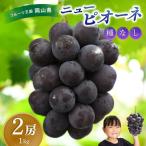 訳あり ぶどう 花笑み農園おまかせ3種以上 約1kg