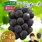 岡山産ニューピオーネ 約2kg