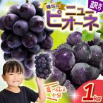 ピオーネ 訳あり 約1kg