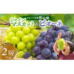 ふるさと納税 シャインマスカット ニューピオーネ 食べ比べ 1kg〜1.5kg 花笑み農園 ピオーネ 【hana007-03】 岡山県真庭市