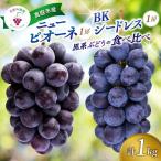 ぶどう 岡山 花笑み農園のぶどう 1kg