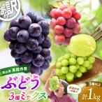 2027年 産訳ありぶどう詰め合わせ