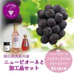 花笑み農園 岡山のピオーネ&ラムピオーネジャム&飲む酢