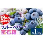 fu.... налог [2026 год предшествующий предварительный заказ ][ есть перевод ограниченное количество ] голубика итого 1kg (250g×4 упаковка ) голубика. драгоценнный камень коробка зонт .. синий пустой ферма предшествующий.. Okayama префектура . холм город 