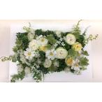 fu.... налог консервированный цветок [ brilliant ] Shizuoka префектура Fujieda город | Shizuoka префектура Fujieda город 