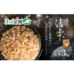 京都夜久野産 清雫 せいな コシヒカリ 玄米 3kg×3回