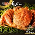 オホーツク海産 朝ゆで毛ガニ 670g前後