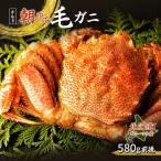 オホーツク海産 朝ゆで毛ガニ 580g前後