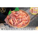 �ӂ邳�Ɣ[�� �y���ʌ���z���������Y �V�R�������сi���H�p�j ��1kg �mM�T�C�Y�n �F���ÃG�r �q�Q�i�K�G�r �h�g �C�N �C�V �C�N�� ���Ă�.. ���������삳�܎s