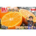 ふるさと納税 訳あり みかん 計10kg ミカン 蜜柑 果物 くだもの フルーツ 柑橘 【2025年10月上旬から2026年3月上旬迄発送予定】 熊本県熊本市