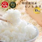 令和7年産 ヒノヒカリ 10kg