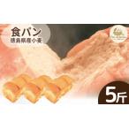 食パン 5斤 パン 天然酵母 小麦