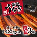 うなぎ 訳あり ウなぎ 蒲焼き 3尾