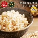 特別栽培米 ヒノヒカリ 玄米 10kg