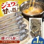 ハダカイワシ干物 約1kg