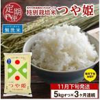 SD0345 令和8年産 特別栽培米 つや姫 5kg×3回