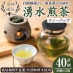 栽培期間中農薬 化学肥料不使用 湧水煎茶ティーバッグ 計40…