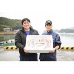 真鯛とブリ しゃぶしゃぶ鍋セット しゃぶしゃぶ