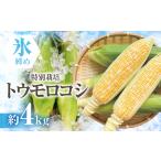 寺田さんちのとうもろこし バイカラー 10本-12本 約4kg