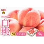 ふるさと納税 2026年産 白桃（柔らかめ） 5kg 秀品 山形県 東根市 hi082-050 山形県 ヤマガタケン やまがたけん 東根市 ヒガシネシ ひがしねし .. 山形県東根市