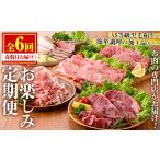 ふるさと納税 No.1246 ＜定期便・全6回(奇数月)＞お楽しみ！大人気の返礼品定期便 お試しコース(総重量5kg以上・ステーキ、霜降り焼肉、ロース.. 鹿児島県日置市