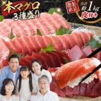 マグロ 本マグロ 大トロ 中トロ 赤身 詰め合わせ