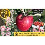 訳あり りんご あいかの香り 約3kg