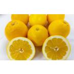 ふるさと納税 河内晩�