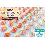 季節のジューシーフルーツメレンゲ合計6袋 2袋×3回