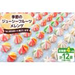 季節のジューシーフルーツメレンゲ合計12袋 3袋×4回