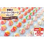 季節のジューシーフルーツメレンゲ合計18袋 3袋×6回