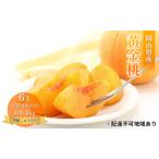 ふるさと納税 桃 2026年 先行予約 岡山 黄金桃 6玉 約1.4kg 等級：ロイヤル（1玉 240g以上） もも モモ 岡山県産 国産 フルーツ 果物 ギフト 岡山県高梁市