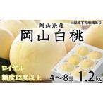 ふるさと納税 桃 2026年 先行予約 岡山 白桃 ロイヤル 4〜8玉 約1.2kg JAおかやまのもも(早生種・中生種) もも モモ 岡山県産 国産 フルーツ .. 岡山県高梁市