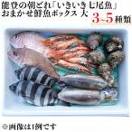 能登の朝どれ いきいき七尾魚 おまかせ鮮魚ボックス