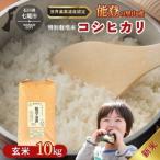 米 玄米 能登のコシヒカリ 飯川のお米 10kg