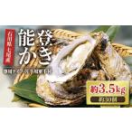 ふるさと納税 【能登半島地震復興支援】魚介類 牡蠣 / 能登かき 殻付 牡蠣 約3.5kg(約30個)専用ナイフ・片手用軍手付 石川県 七尾市 能登 ※.. 石川県七尾市