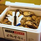 類 牡蠣 能登風土 七尾産 能登かき 殻付き 発泡スチロール…