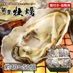 牡蠣 加熱用能登かき 殻付き 半斗缶 ※2026年12月~発送