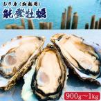 能登かき むき身 加熱用 900g~1kg