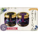 きび糖 仕込みのブルーベリー ジャム 2種