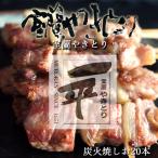 一平若草店監修 室蘭やきとり 炭火たれ焼き 20本