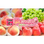 ふるさと納税 【定期便4回】桃たっぷり便〜ぶどうとりんごも〜 【令和8年産先行予約】FS25-689 くだもの 果物 フルーツ 山形 山形県 山形市 2026.. 山形県山形市