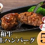 ハンバーグ 博多和牛使用 生ハンバーグ