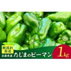 朝採れ発送 たじまのピーマン 1kg