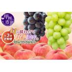 ふるさと納税 【定期便】旬の採れたて3回定期便（桃・巨峰・シャインマスカット）【2026年発送】（HO）C9-410 もも 巨峰 シャインマスカット フ.. 山梨県甲州市