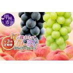 ふるさと納税 【定期便】旬の採れたて3回定期便（桃・ブラックビート・シャインマスカット）【2026年発送】（HO）C9-411 もも ブラックビート シ.. 山梨県甲州市