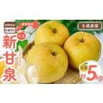 ふるさと納税 鳥取県だけで作られている幻の梨 新甘泉【鳥取県産】(小玉)5kg(生橋農園) 鳥取 梨 5kg 果物 フルーツ 和梨 先行予約 数量限.. 鳥取県倉吉市