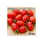 fu.... налог [5 месяц отгрузка минут ] Wakayama производство мини помидоры [ Aiko помидор ] примерно 2kg(S*M размер случайный ) * Hokkaido * Okinawa * отдаленный остров к рассылка не возможно *2026 год 5 месяц.. Wakayama префектура прекрасный . блок 