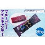 ショッピングふるさと納税 アイス ふるさと納税 【アイス】ブルーベリー アイス 80ml×20本 高知県南国市